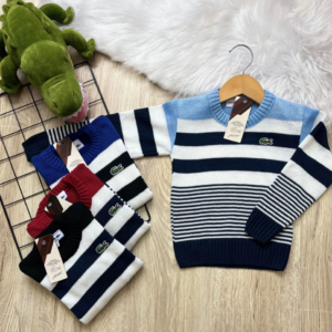 Suéter Infantil - Inspiração Lacoste