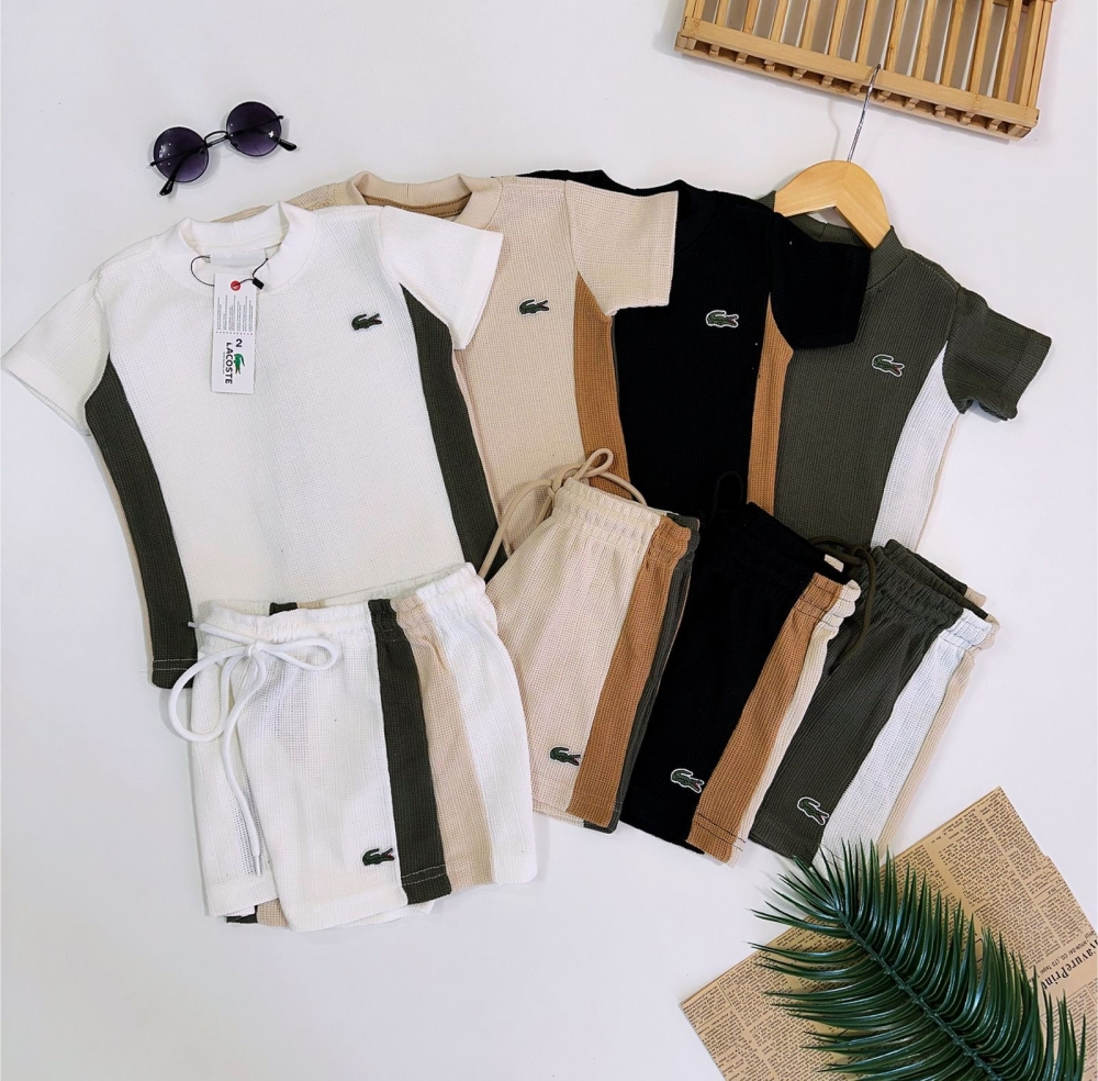 Conjunto Favo de Mel Inspiração Lacoste - 4 Conjuntos