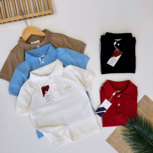 Camiseta Gola Polo Inspiração Lacoste